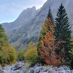 Alpensuss *