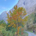 Chalet Alpensuss