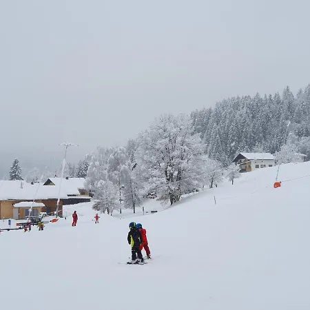 Alpensuss 샬레 Kotschach-Mauthen