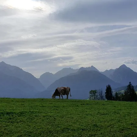 Alpensuss