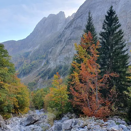 Alpensuss *