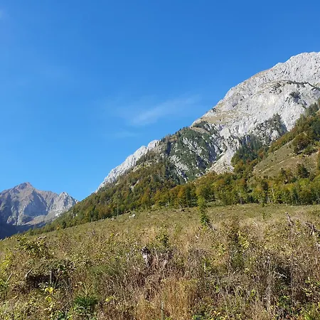 Alpensuss * Kotschach-Mauthen