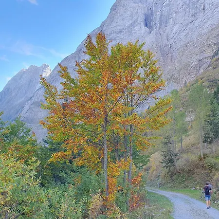 샬레 Alpensuss