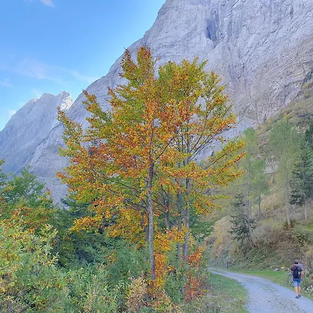 Шале Alpensuss
