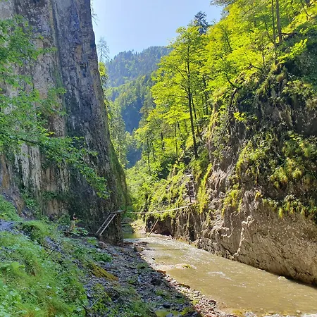 Alpensuss シャレー *