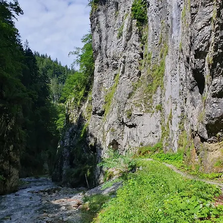 شاليه Alpensuss