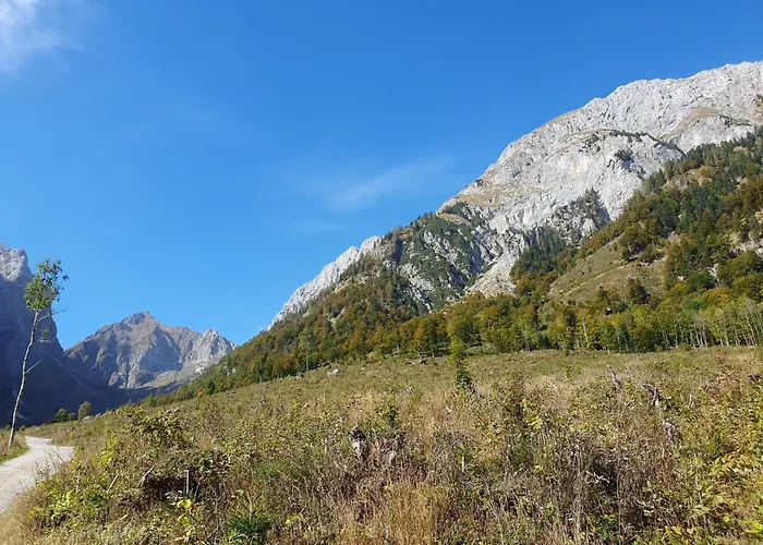 Alpensuss * Kotschach-Mauthen