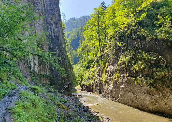 Alpensuss בקתה *