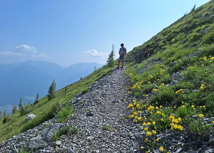 Alpensuss Domek alpejski